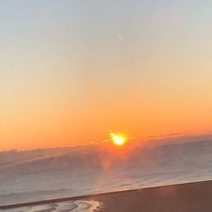 Meet your Posher, Konstanza